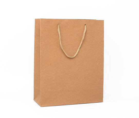 Paper Gift Bags