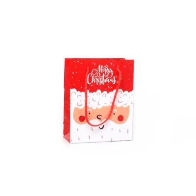 15x12x5.5cm. Father Christmas gift bag