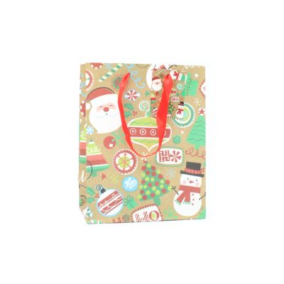 Bulk Clearance. 23x18x10cm. Christmas motif gift bag with tag