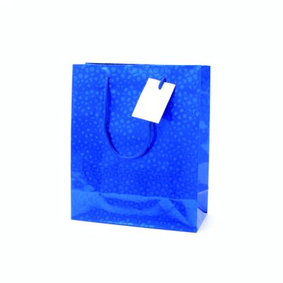 21.5x18x8cm. Blue Holographic gift bag with tag